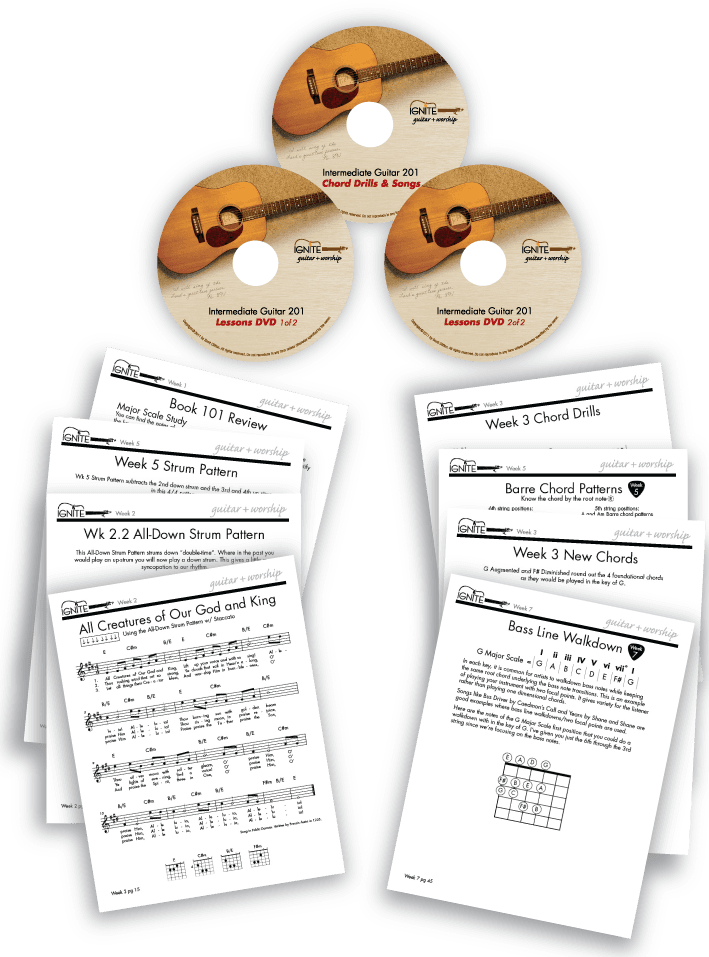 Intermediate Guitar 201 Digital Curriculum